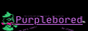 Purplebored button
